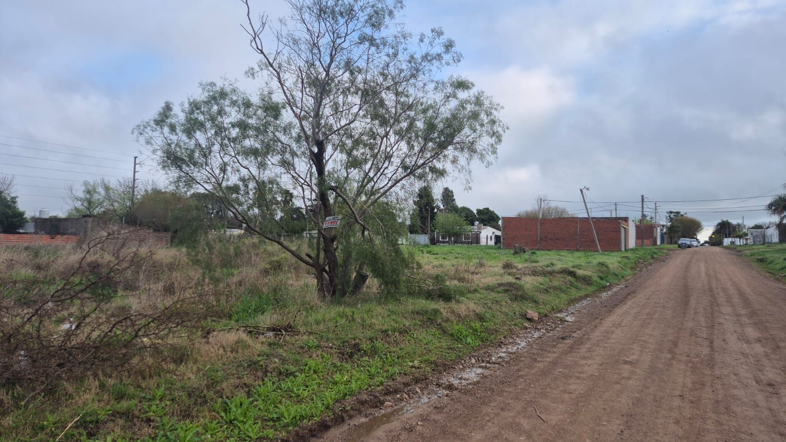 Imagen de la propiedad LOTE EN VENTA SAN BENITO 